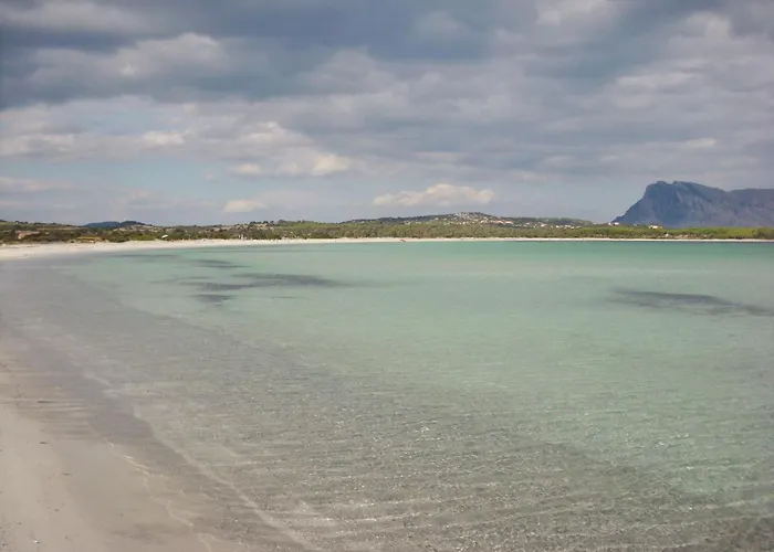 Cozy Flat Surrounded By Nature 公寓