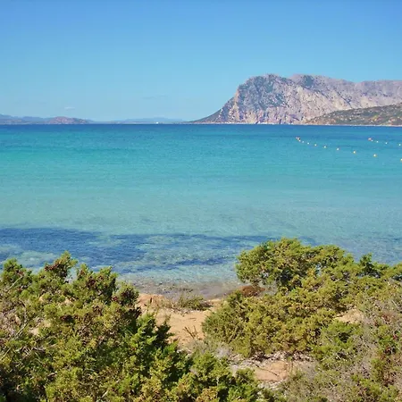 Cozy Flat Surrounded By Nature Appartamento Budoni