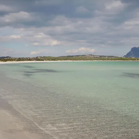 Cozy Flat Surrounded By Nature Appartamento