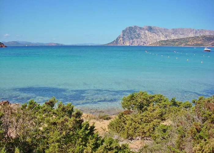 Cozy Flat Surrounded By Nature Appartamento Budoni